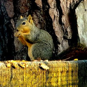 Meet your Posher, Stacey